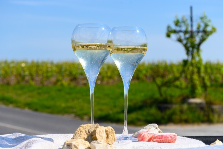 Comment identifier les meilleurs grands crus ?