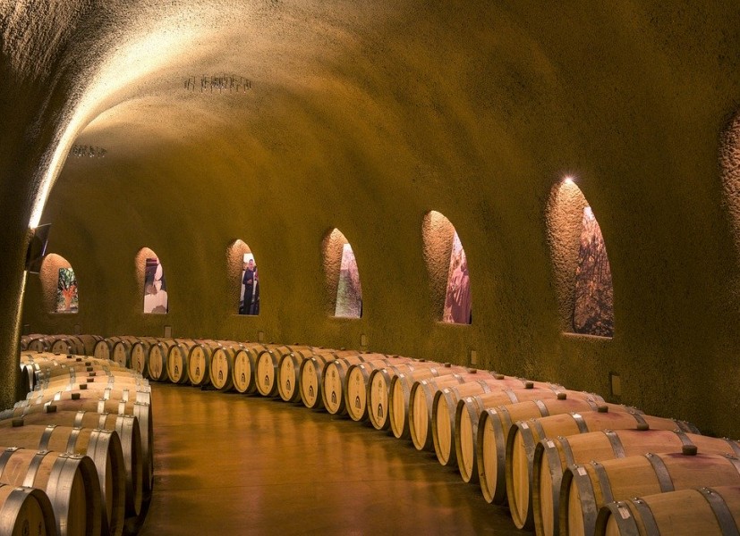 Quelle cave à vin choisir ?