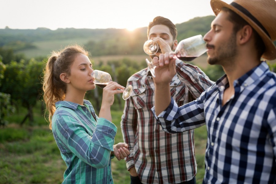 Quelle bouteille de vin a obtenu la première place du classement 2022 ?