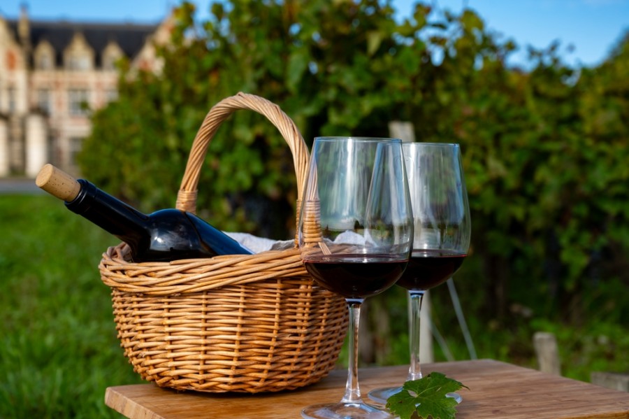 Quels sont les cépages utilisés dans les vins de Bordeaux ?