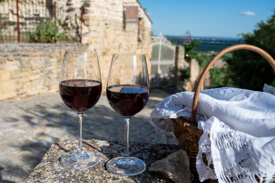 Quels sont les meilleurs vins des Terrasses du Larzac ?