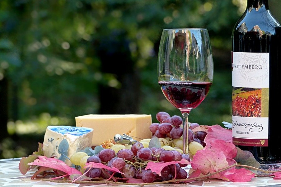 Vin et fromage : comment réussir cette association ?