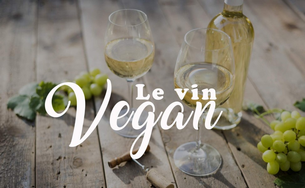 Tout savoir sur le vin vegan et sa fabrication