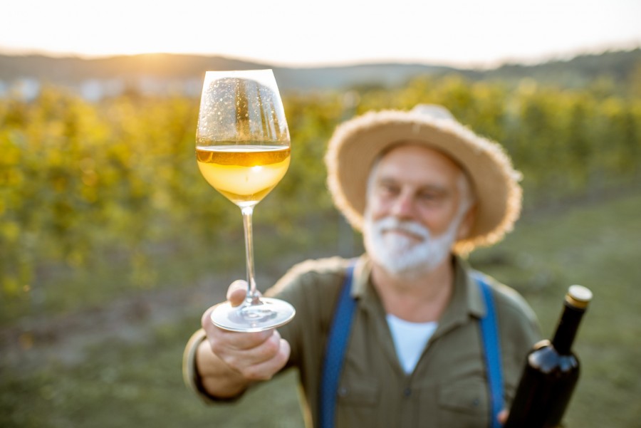 Pourquoi les vins naturels sont-ils si prisés aujourd'hui ?