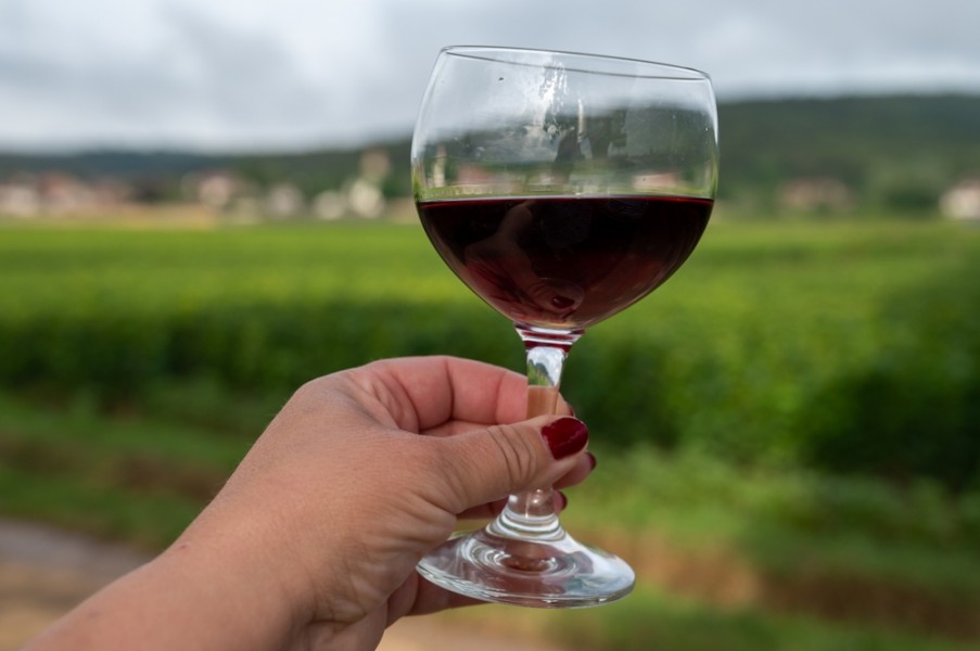 Du vin Vosne-Romanée : comment déguster le vin comme un pro ?